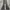 H&M Flare pants Wanita gray photo 5