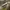 somethinc checkmatte photo 1