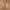 Texture Brown Belt  photo 1