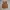 Carhartt Streetwear Y2K Vest Pria Tan Brown