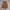 Carhartt Streetwear Y2K Vest Pria tan brown photo 4