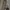 YEEZY BELUGA V2  photo 2