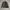 Carhartt Streetwear Y2K Bomber jacket Pria tan photo 4