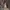 Stranger Things Season 3 Graphic Tee   photo 4