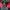 Windbreaker Adidas Balok Climawarm 3 Warna photo 5