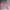Kemeja Croptop pink NO MINUS photo 1