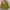 Parka Jacke MIXXO Casual Army photo 1