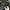 Sweatshirt Crewneck Lee Vintage Build Up photo 5