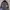 Ransel Jansport photo 4