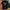 GUESS SECOND ORIGINAL photo 1