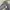 APC Grey Midi Dress photo 8