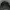 Topi Obey Original photo 1