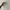 TOPI VINTAGE BLACKHAWK NHL photo 2