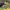 Nike SB Dunk Low Pro De La Soul photo 1