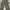 Uniqlo cargo pants warna army photo 2