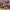 Nike Air Jordan Low  photo 2