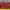 Nike Air Jordan Low  photo 4