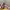 Nike Air Jordan Low  photo 1