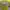 New Yellow Summer Dress photo 3