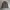 Black diamon jacket photo 1