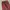 Sweatpants Red photo 3