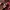 Sweatpants Red photo 5
