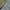 Marhen J Casual Wanita green photo 3