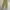 Unknown Parachute Loose Cargopants photo 3