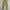 Unknown Parachute Loose Cargopants photo 2