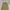Unknown Parachute Loose Cargopants photo 4