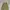 Unknown Parachute Loose Cargopants photo 5