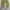 Unknown Parachute Loose Cargopants photo 6