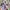 Vintage Patchwork Blanket photo 6