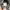 Tornado Mart Scaled Leather Biker Jacket photo 6