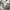 Unknown Baggy Cargopants photo 5