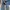 Minimalist Maxi dress Wanita blue photo 4