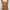 Vintage Y2K Brown Midi Dress with Lace & Ribbon Details photo 4