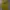 Greenlight Yellow Sweaters photo 1