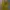 Greenlight Yellow Sweaters