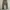 Blue Way Japan Field Camo Loose Cargopants photo 2
