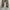Blue Way Japan Field Camo Loose Cargopants photo 7