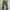 Blue Way Japan Field Camo Loose Cargopants