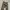 Blue Way Japan Field Camo Loose Cargopants photo 5