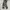 Ask Enquired Camo Multipocket Corduroy Cargopants photo 3