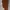 Brick Brown Linen Set photo 5