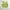 Y2k Green Vest With Zipper Crop Top photo 1