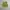 Y2k Green Vest With Zipper Crop Top photo 4