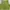 Y2k Green Vest With Zipper Crop Top photo 5