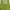Y2k Green Vest With Zipper Crop Top photo 2