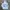 Vision Street Wear Vintage Skater Hoody Pria White
